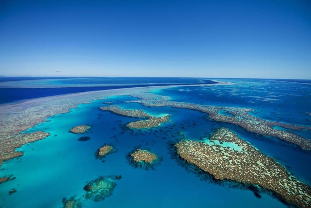 How to Photograph the Great Barrier Reef of Australia by The Wandering Lens