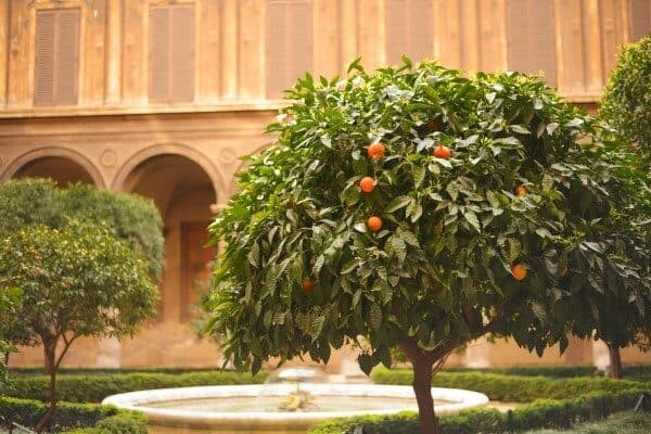 Rome-03
