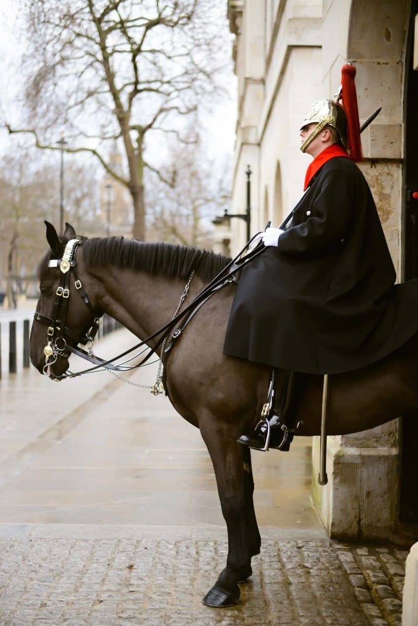 The Royal Horse Guard