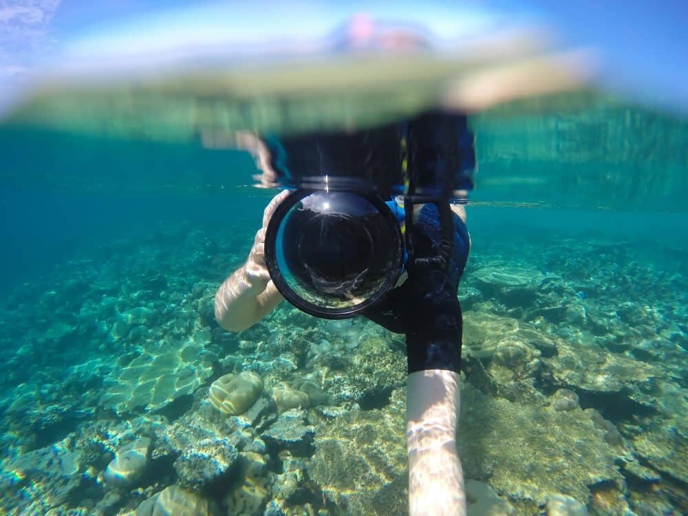 Underwater Photography: How to Take Split-Level Photographs