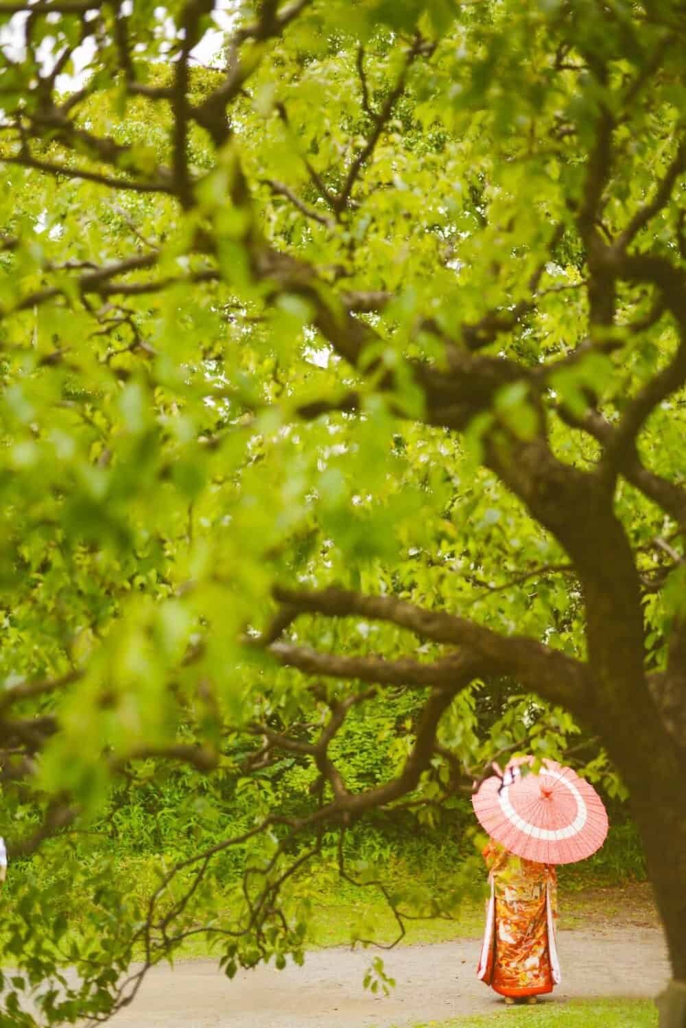 A bride in a traditional wedding Kimono in Hama Rikyu Park, Shidome.