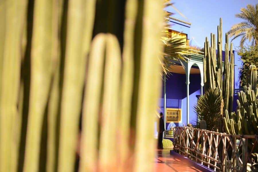 LA JARDIN MAJORELLE (2)