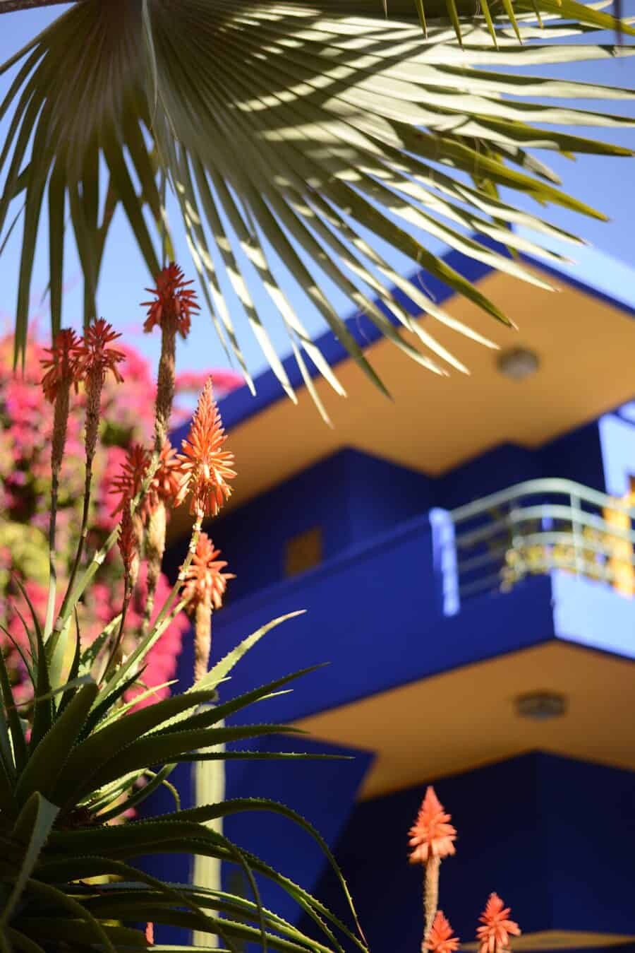 LA JARDIN MAJORELLE (4)