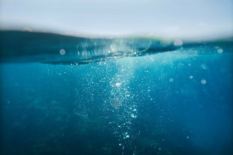 Underwater in the Maldives - The Wandering Lens