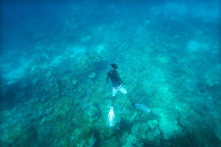 Underwater in the Maldives - The Wandering Lens