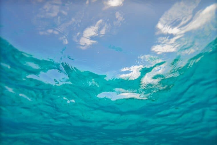 Underwater in the Maldives - The Wandering Lens