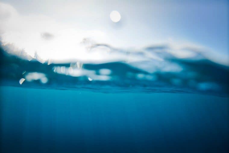 Underwater in the Maldives - The Wandering Lens