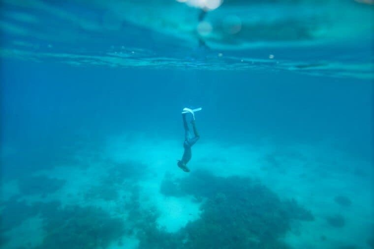 Underwater in the Maldives - The Wandering Lens