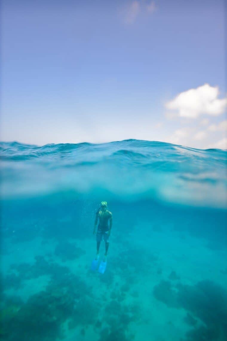 Underwater in the Maldives - The Wandering Lens