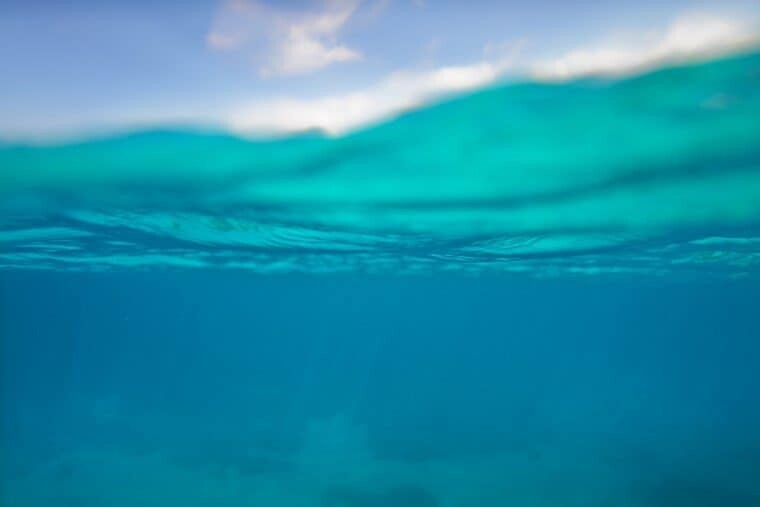 Underwater in the Maldives - The Wandering Lens