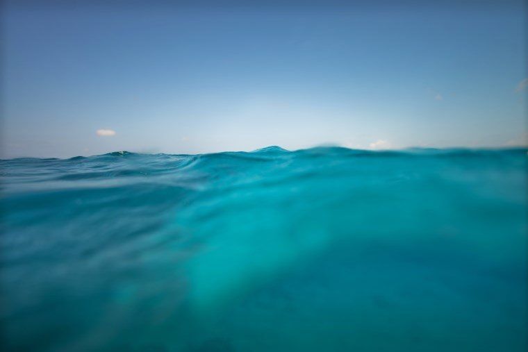 Underwater in the Maldives - The Wandering Lens