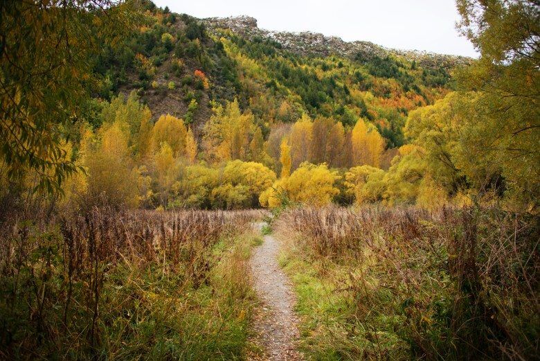 ARROWTOWN_THE_WANDERING_LENS (1)