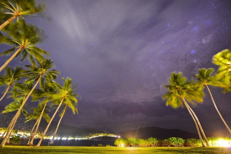 Coconut Grove under the star lit sky.