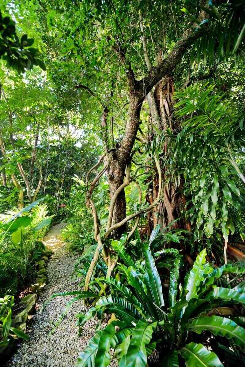 The Butterfly Walk - One&Only Hayman Island