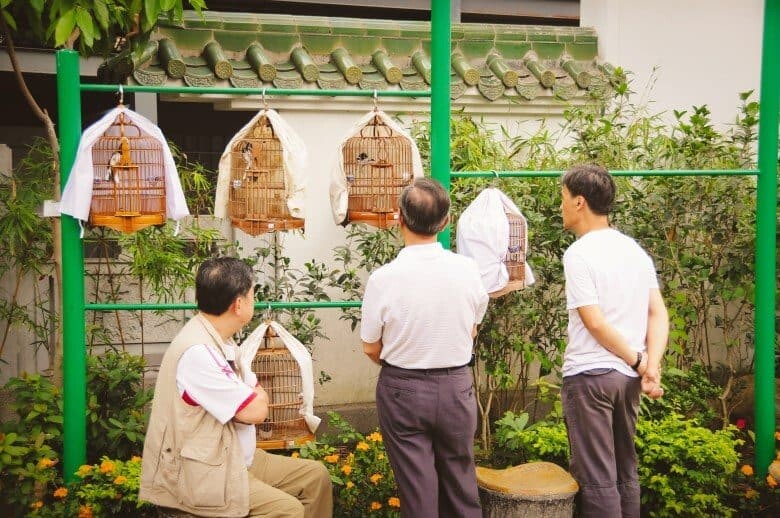 Hong Kong Bird Garden Kowloon