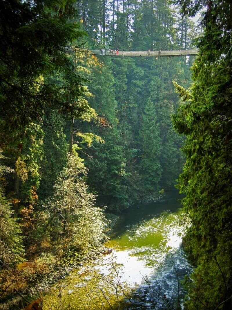 Capilano Suspension Bridge, Vancouver - The Wandering Lens