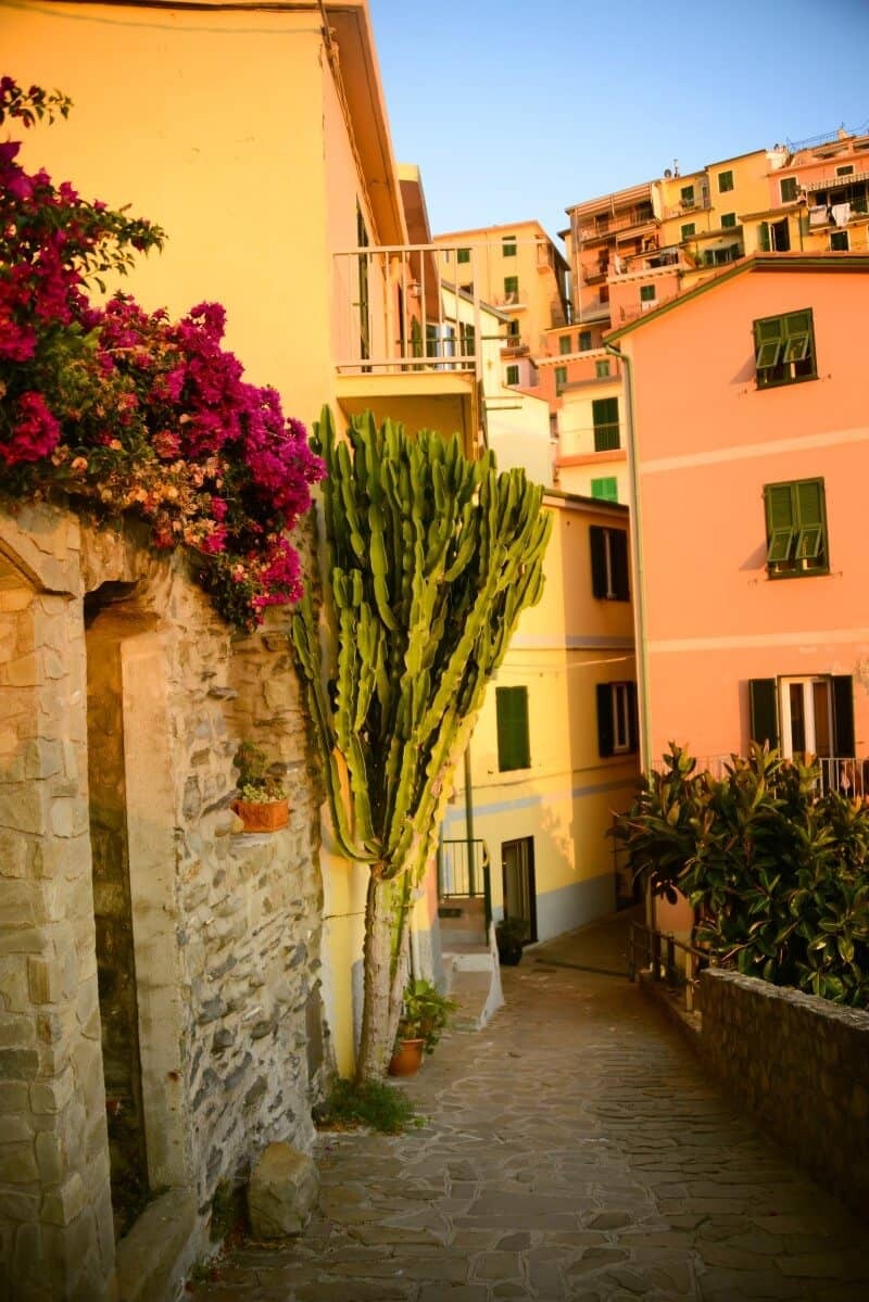 Manarola_CinqueTerre_The Wandering Lens07