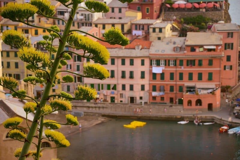 VERNAZZA_THE WANDERING LENS08
