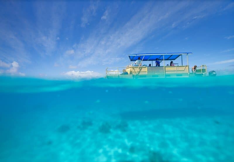 Underwater Photography - The World from The Water by The Wandering Lens www.thewanderinglens.com