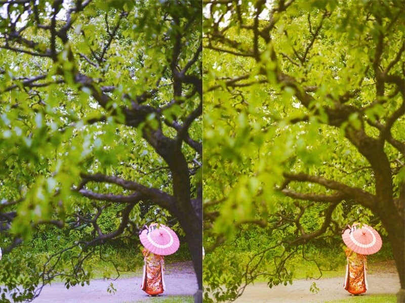 The image on the left is taken using 'Auto' white balance....on the right is 'Cloudy' white balance, you can see the vibrancy and warmth changes quite intensely.