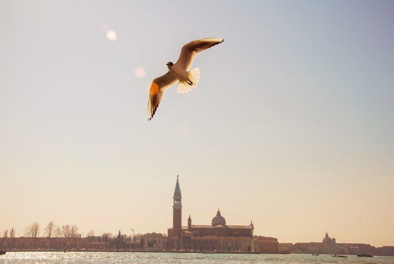 Venice Carnival Photos by The Wandering Lens www.thewanderinglens.com