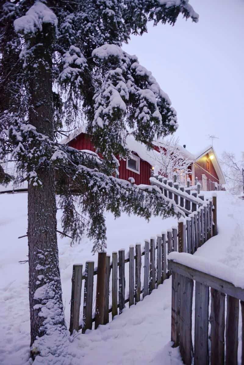 Dog Sledding in Kiruna, Sweden by The Wandering Lens www.thewanderinglens.com