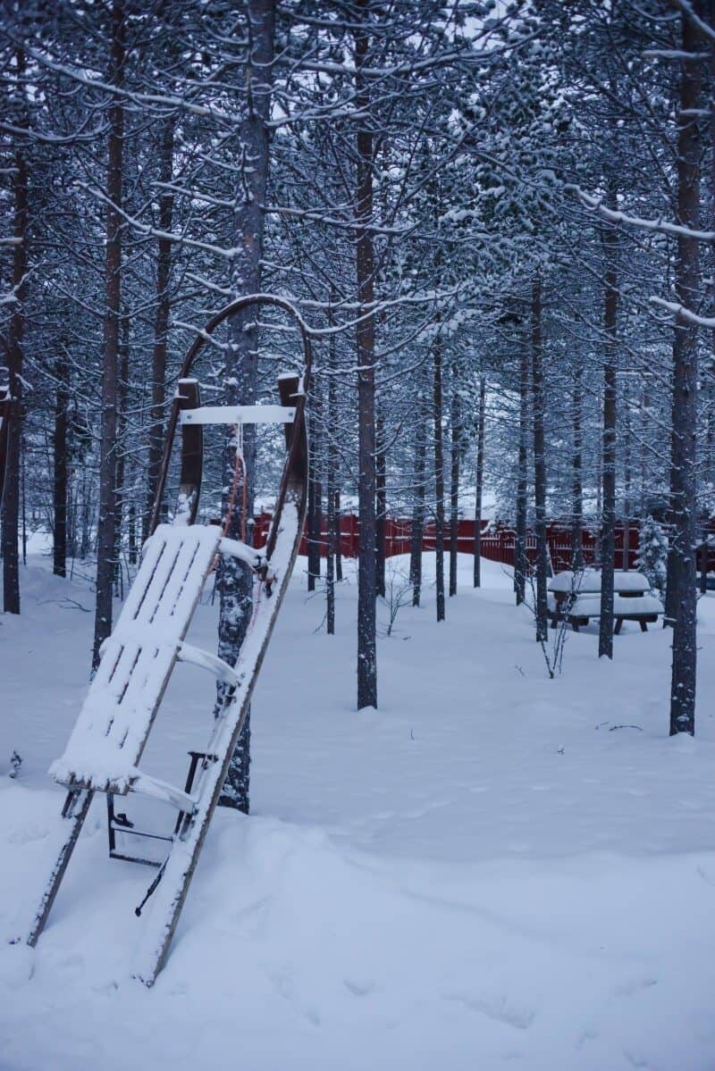 Dog Sledding in Kiruna, Sweden by The Wandering Lens www.thewanderinglens.com