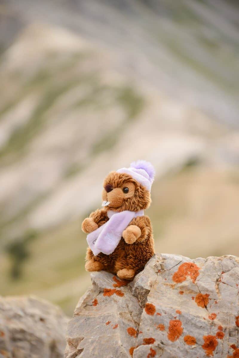 Col d'Izoard, Briancon by The Wandering Lens www.thewanderinglens.com