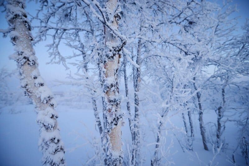 Winter Wonderland in Kiruna, Sweden by The Wandering Lens