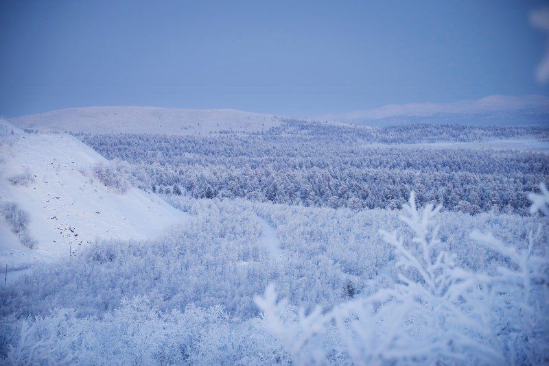 Winter Wonderland in Kiruna, Sweden by The Wandering Lens