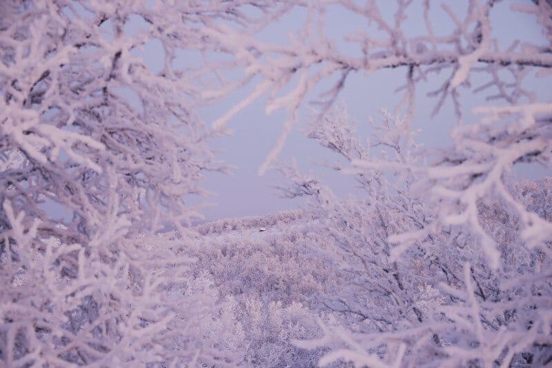 Winter Wonderland in Kiruna, Sweden by The Wandering Lens