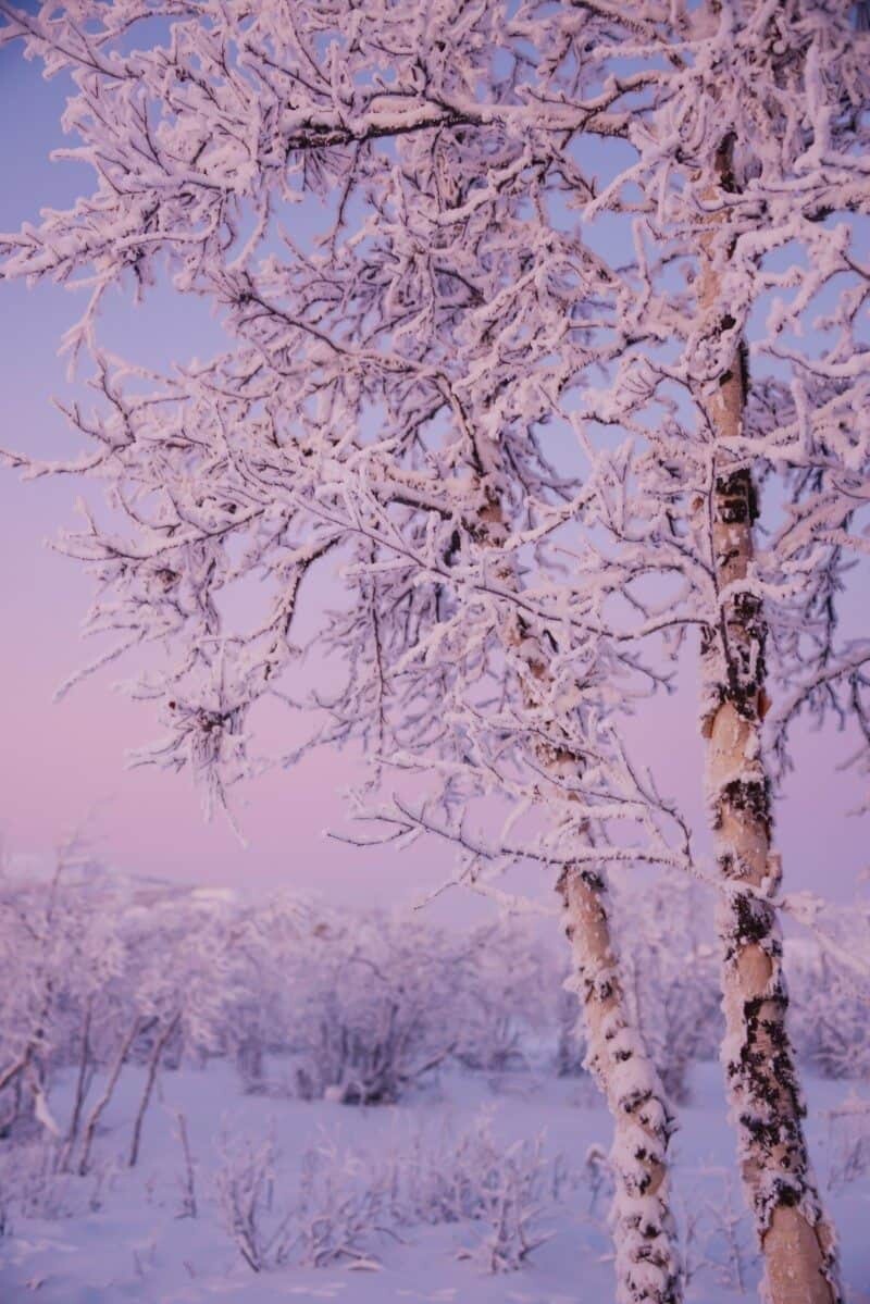 Winter Wonderland in Kiruna, Sweden by The Wandering Lens