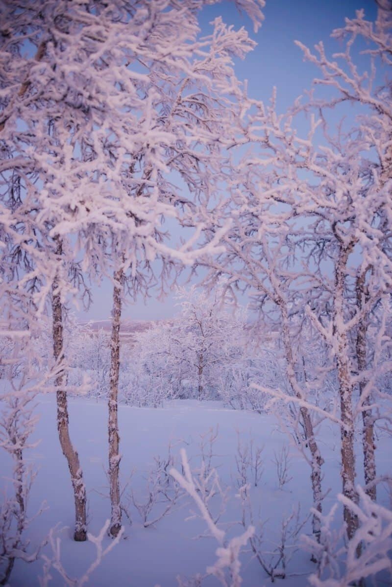 Winter Wonderland in Kiruna, Sweden by The Wandering Lens