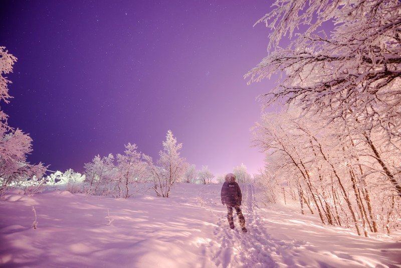 Winter Wonderland in Kiruna, Sweden by The Wandering Lens