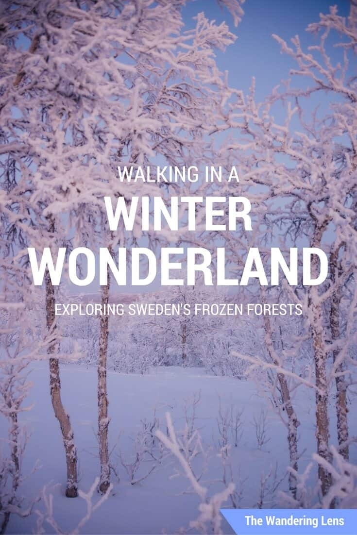 Walking in a Winter Wonderland in Sweden by The Wandering Lens