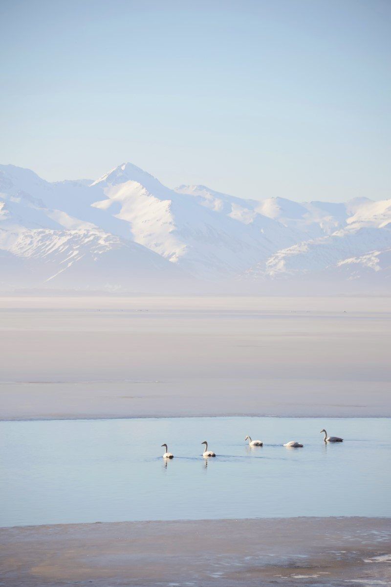 East Iceland Adventures with The Wandering Lens by Lisa Michele Burns