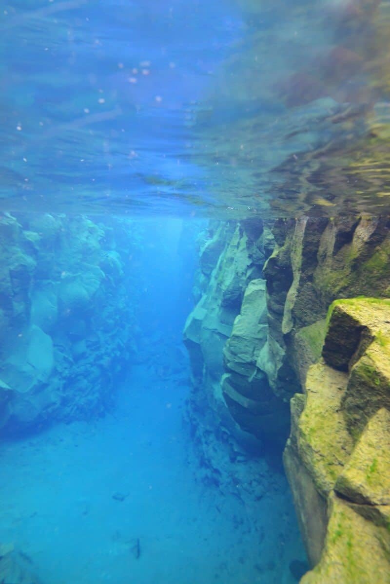 Snorkelling Silfra in Iceland between continents by The Wandering Lens www.thewanderinglens.com