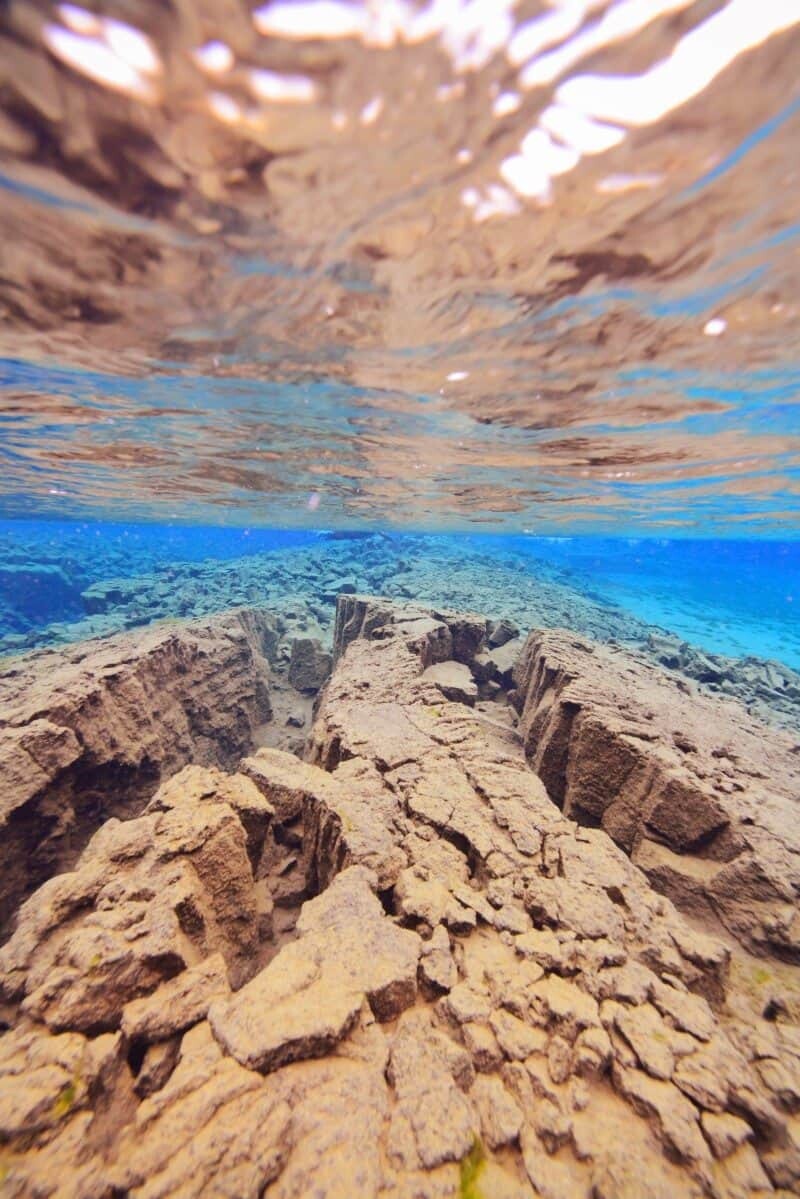 Snorkelling Silfra in Iceland between continents by The Wandering Lens www.thewanderinglens.com