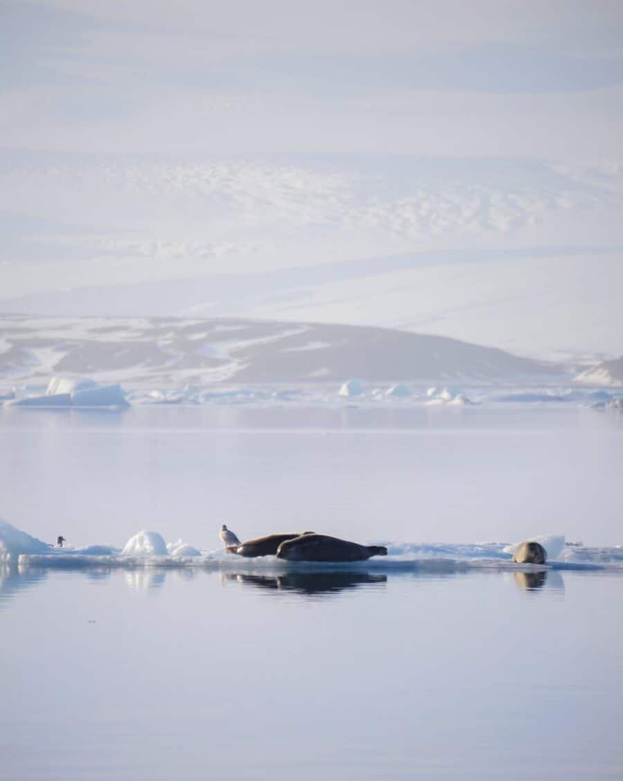 Iceland Photography - Water and Ice by Lisa Michele Burns of The Wandering Lens