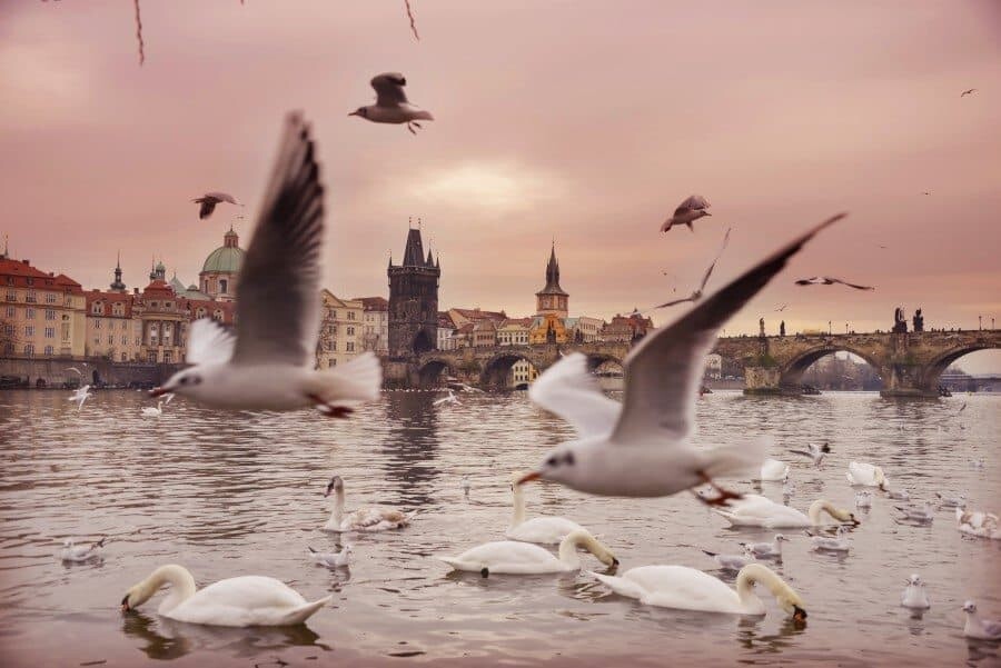 The Best Photography Locations in Prague by The Wandering Lens