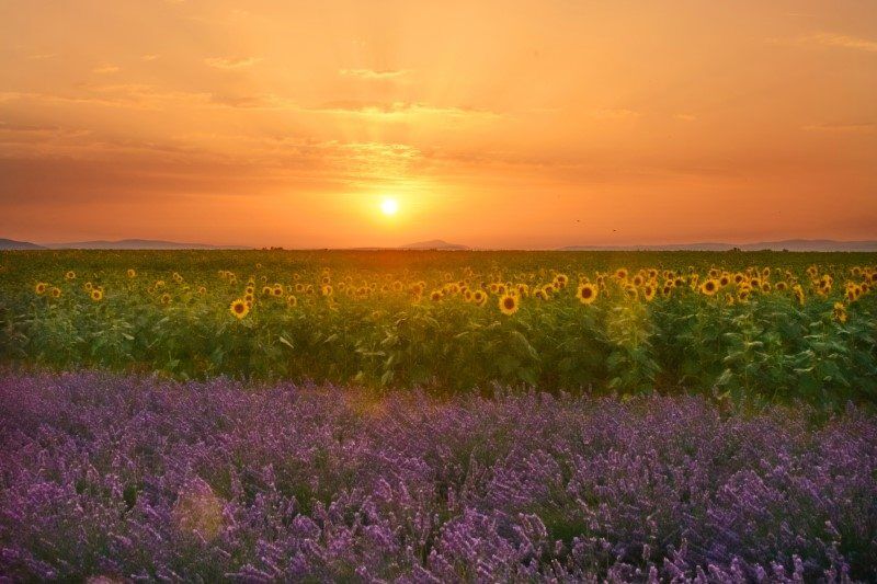 Beautiful Villages of Provence, France by The Wandering Lens 41