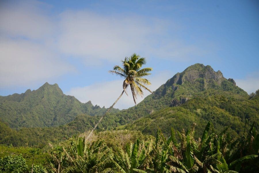 ikurangi-eco-retreat-rarotonga-cook-islands-2