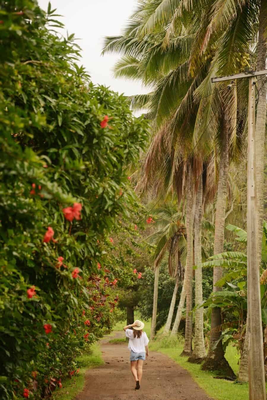 ikurangi-eco-retreat-rarotonga-cook-islands-30