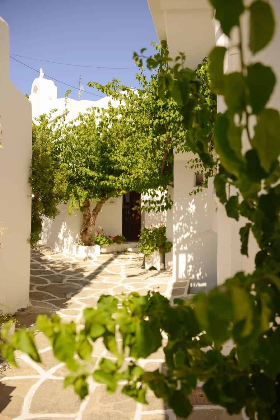 paros-island-greek-islands-by-the-wandering-lens-07