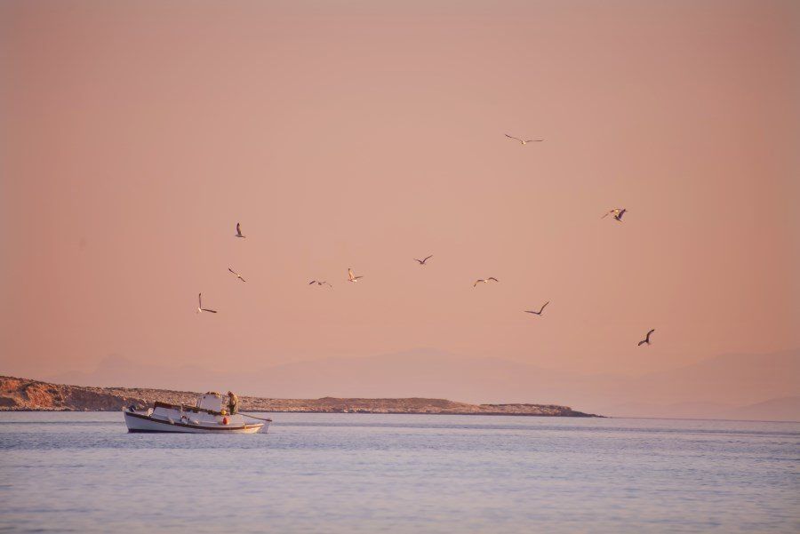 paros-island-greek-islands-by-the-wandering-lens-37