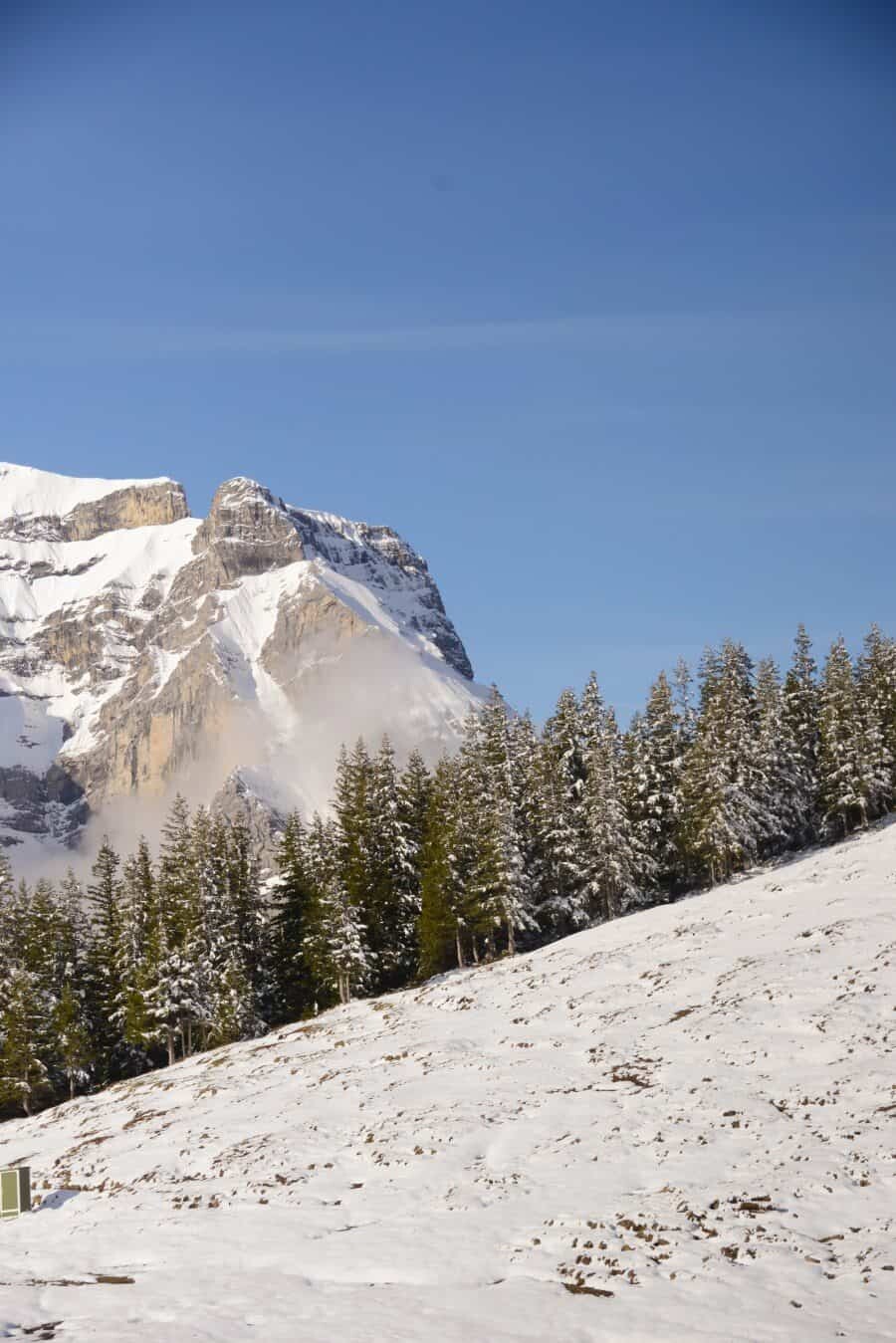 jungfrau-travel-guide-wengen-lauterbrunnen-and-grindelwald-by-the-wandering-lens-08