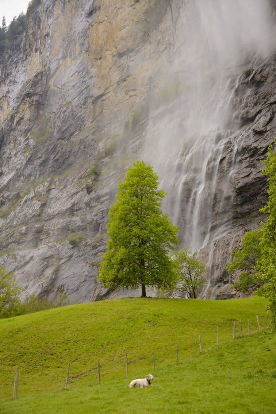 jungfrau-travel-guide-wengen-lauterbrunnen-and-grindelwald-by-the-wandering-lens-54