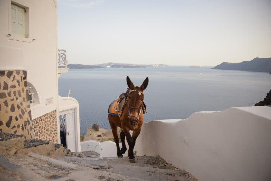 Santorini Photo Locations by The Wandering Lens www.thewanderinglens.com