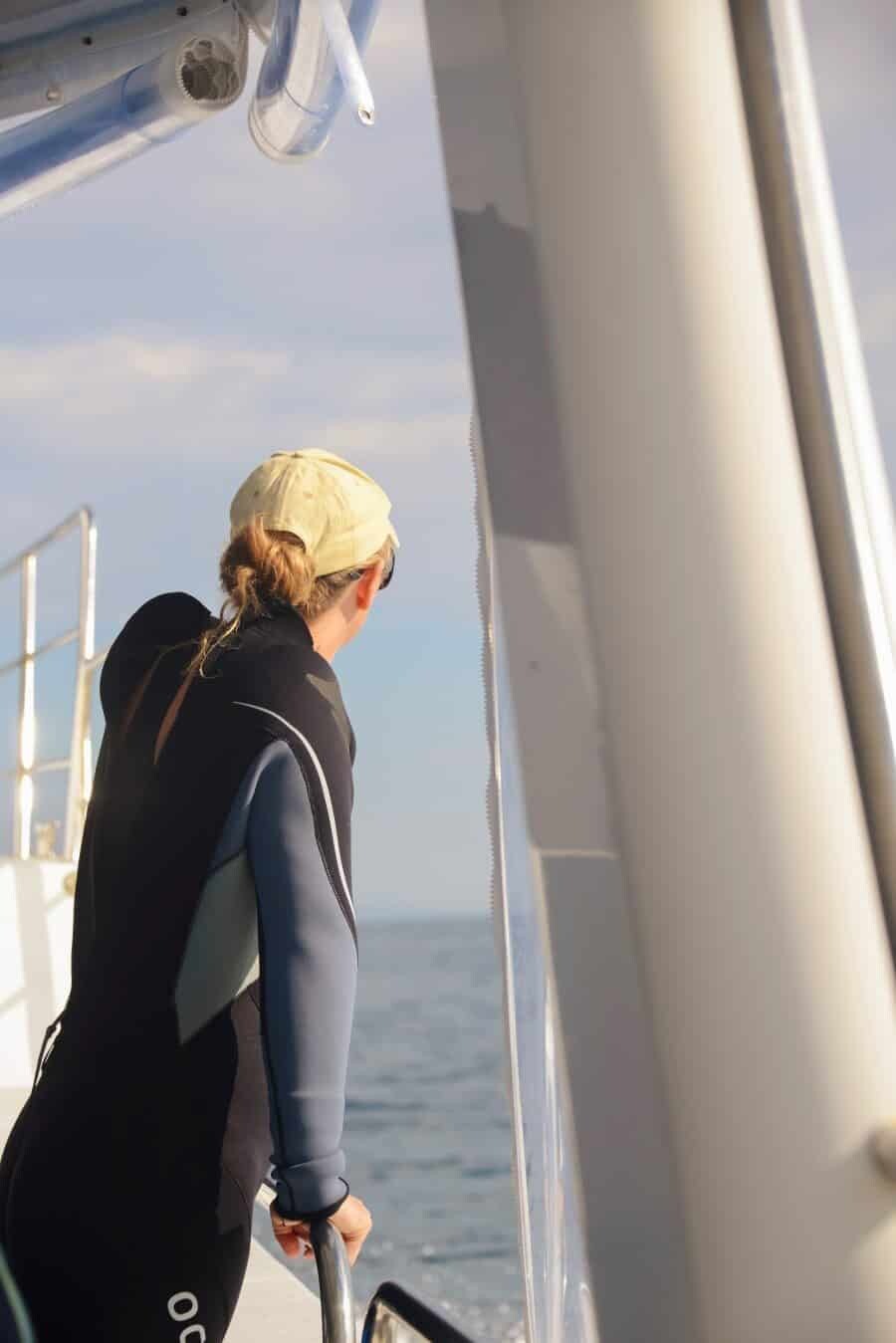 sunshine-coast-whale-swim-queensland-australia-03