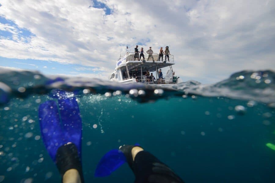 sunshine-coast-whale-swim-queensland-australia-09